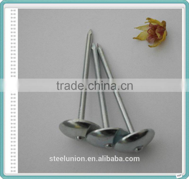 China Steel Roofing Nail