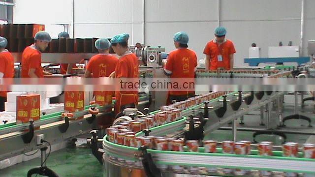 2015 can package Jiuren walnut Ginseng Root Drink