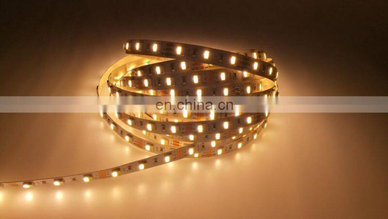 High cri 80 full led bicolore smd 5050 dual white ww/cw 2 in 1 led strip