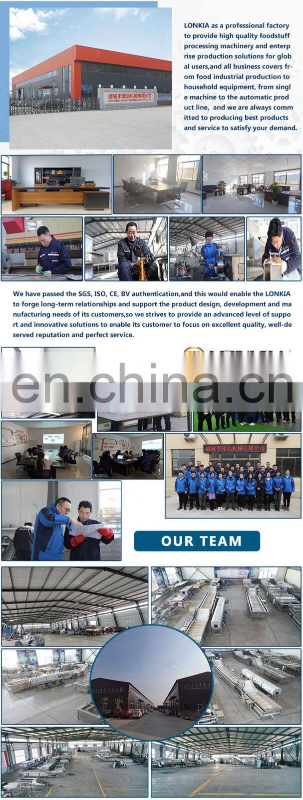 air bubble fruit cleaning machine price