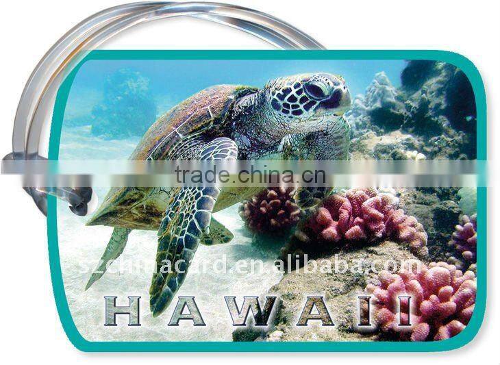 High quality! Best selling product! signature panel PVC card plastic clear luggage tag