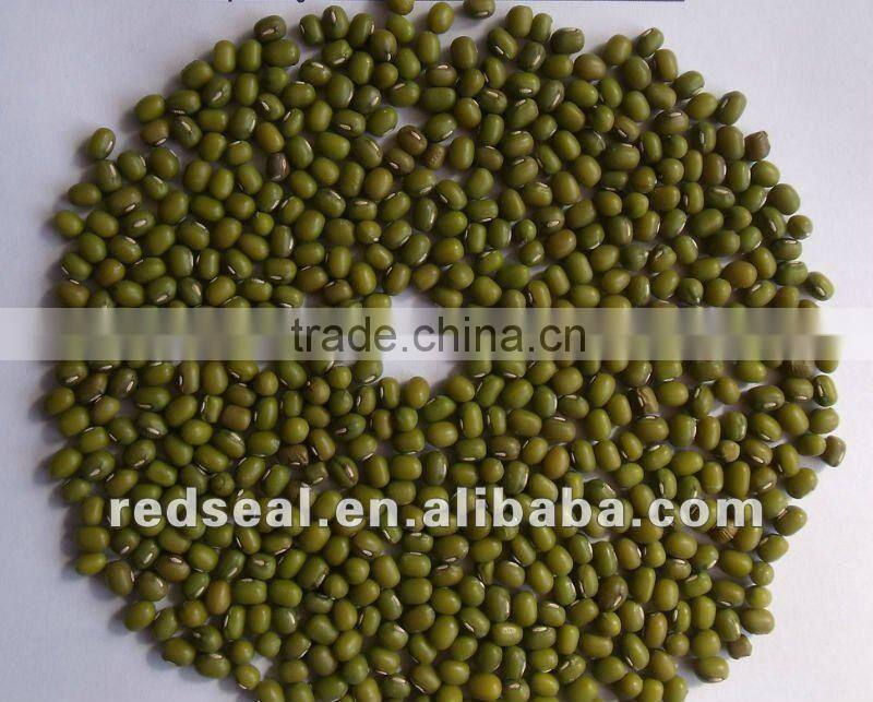 Dark red kidney beans for sale