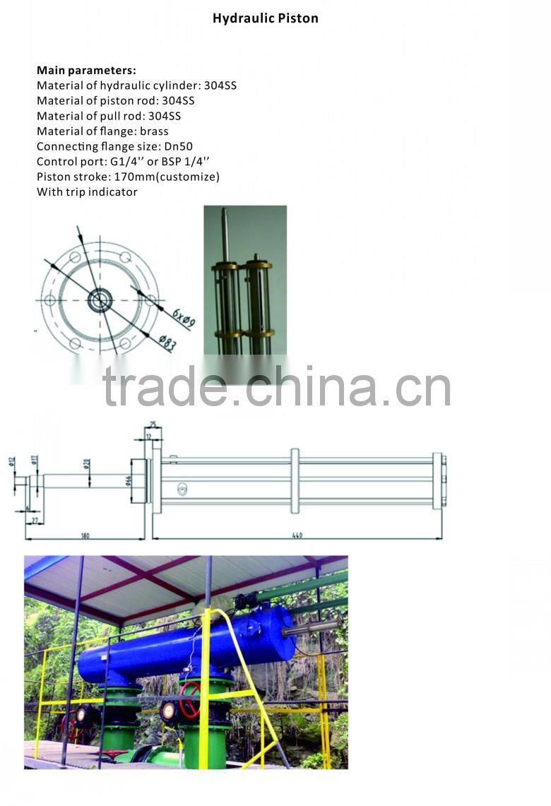 Filtrascale Hydraulic Piston
