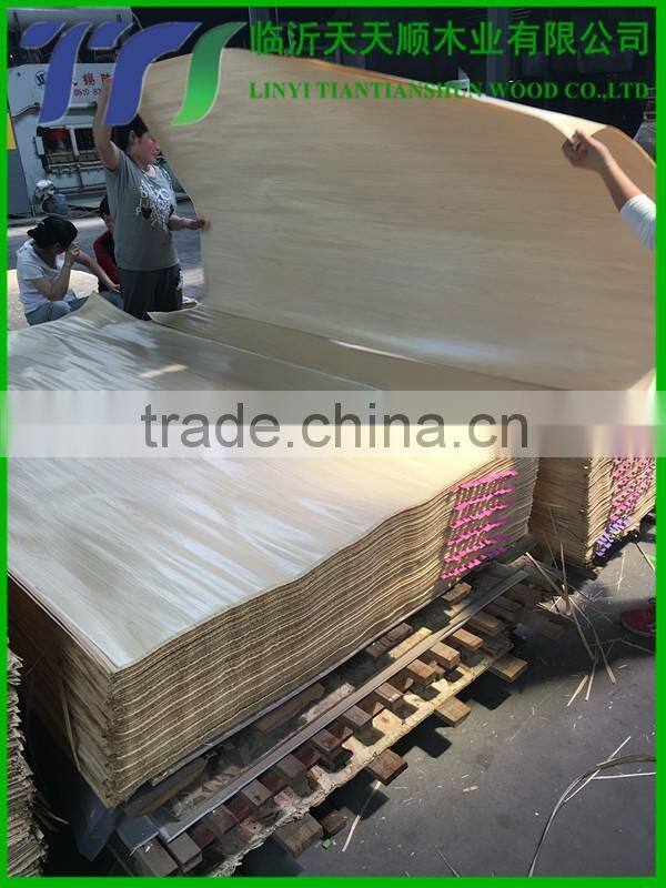 cheap veneer faced mdf door skin from China