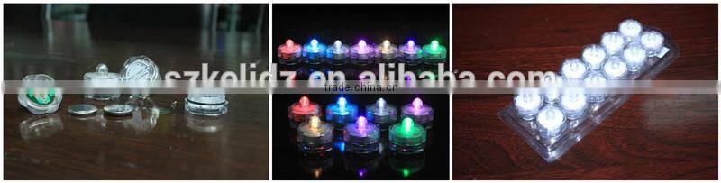 AC Adapter powered waterproof led string lights