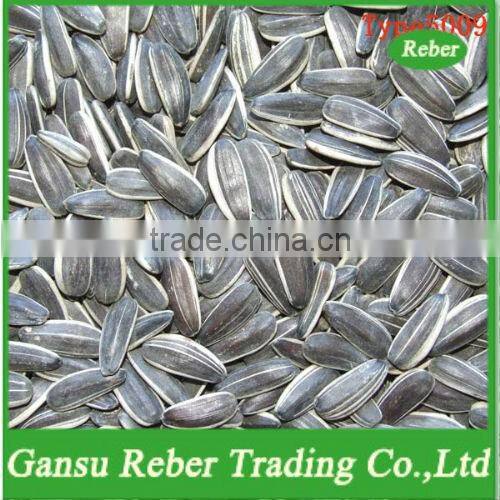 Sunflower Seeds of price in China