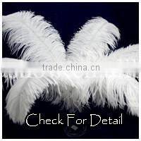 Indian Dance Feather Costume Top Quality Feather Costume