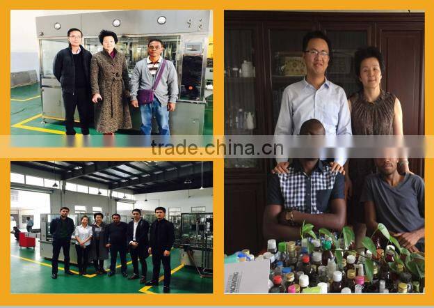 Automatic stainless steel Filling Capping Machine