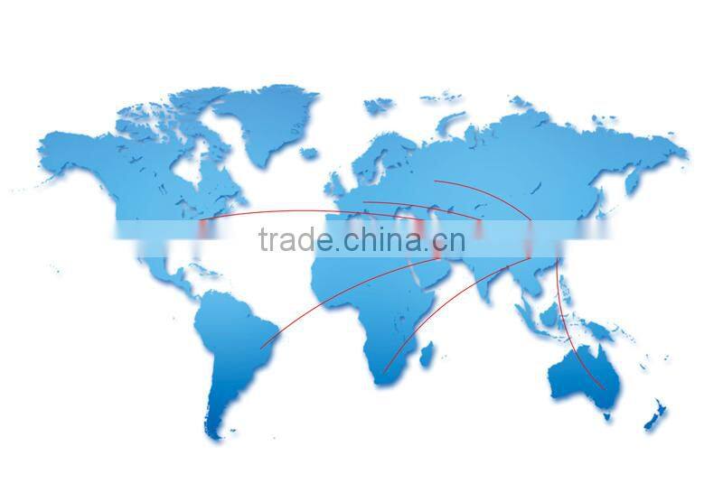 Two wheels custom 8 inch hoverboard with samsung battery with remote (PN-A6)