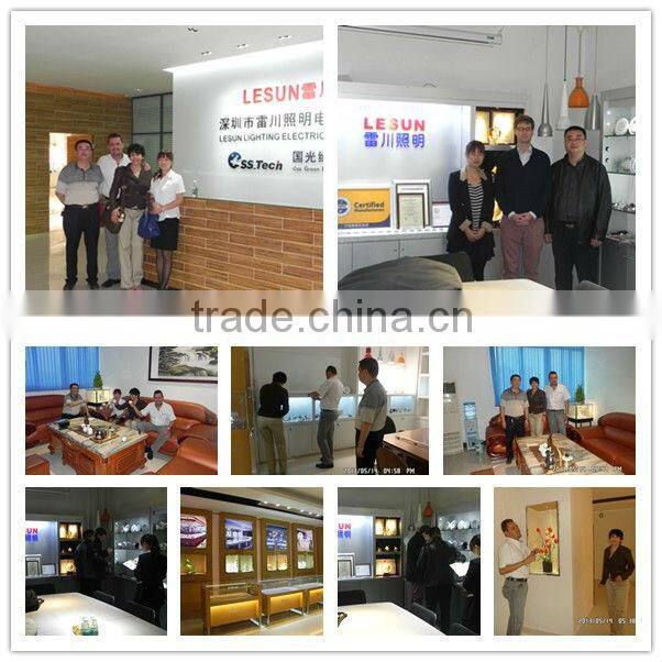 2016 New product 3 Wire 20W COB Gallery Track Light LC2320G