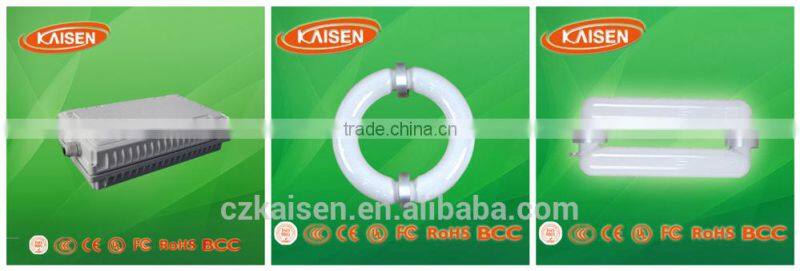 300W China style LVD energy saving induction circular tube with ballast