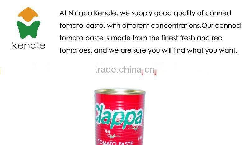 400g Fresh Brix 28-30% Cold Break Canned Tomato Paste,importing tomato paste 400gX24tins