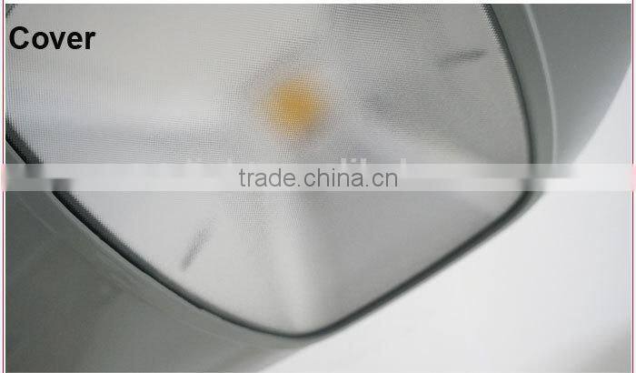 cornely 121 IP65 IP67 COB Garden Lighting Dimmable CE RoHS Bridgelux Street Light LED