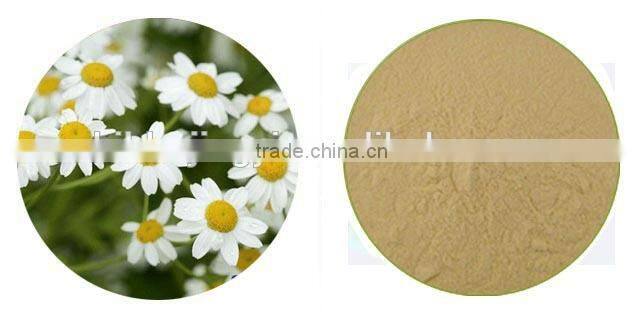 100% Natural Feverfew Extract Tanacetum Parthenium Extract