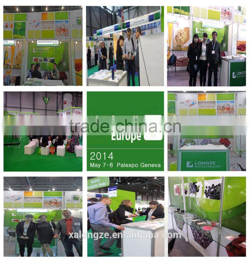 free sample tribulus terrestris extract 10:1