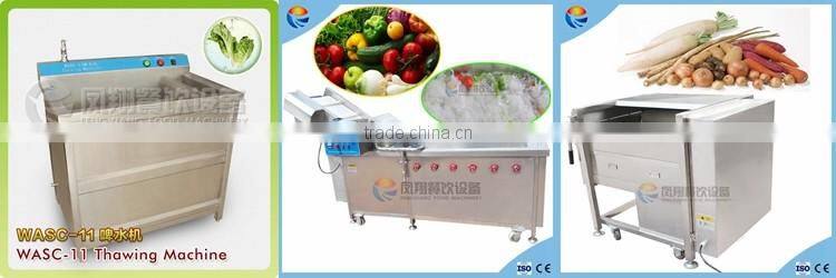 Small Automatic Ozone Vegetable and Fruit Washing Machine