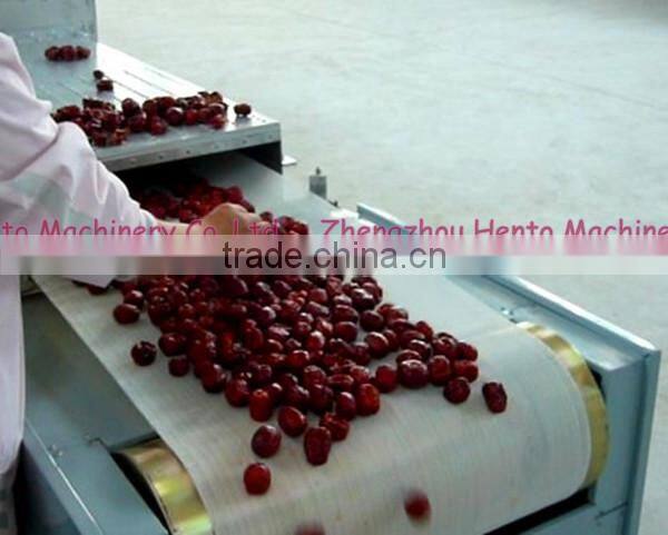 Tunnel-type Microwave Sterilization