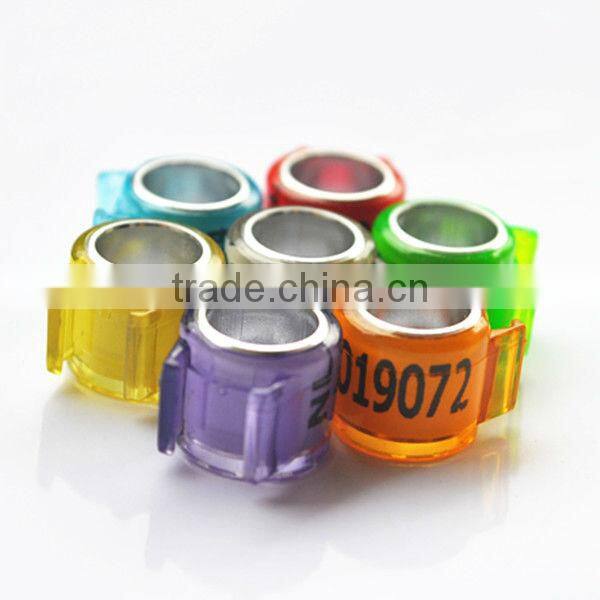 2015 bands pigeon leg rings custom with EXW price