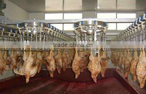 ISO SGS CE approved Full Set Poultry Slaughter Machine and Equipment