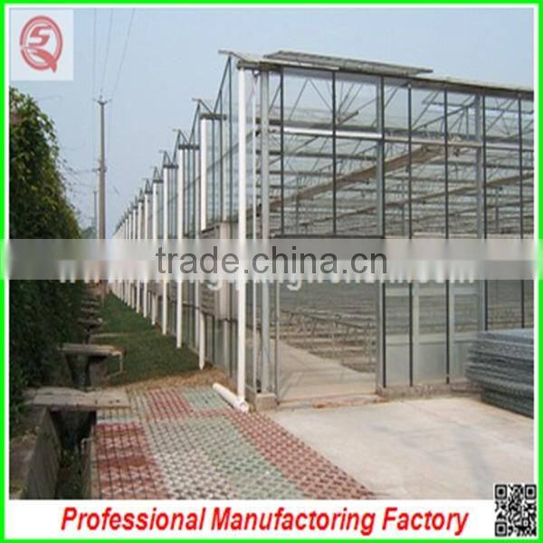 Hot sale 9.6m multi-span agriculture glass greenhouse grow tent for planting