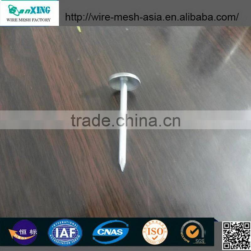Common Wire Nail Construction Roofing Nail Iron Nail Building material