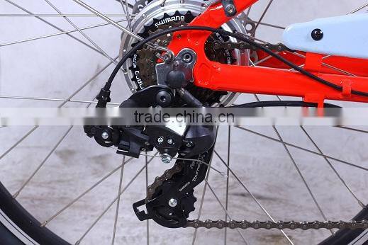 electric bike with brushess hub motor