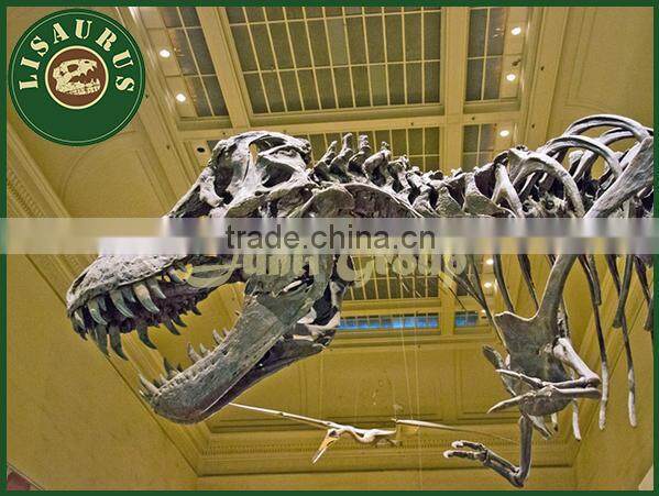 Lisaurus-I hot sale dinosaur puzzles