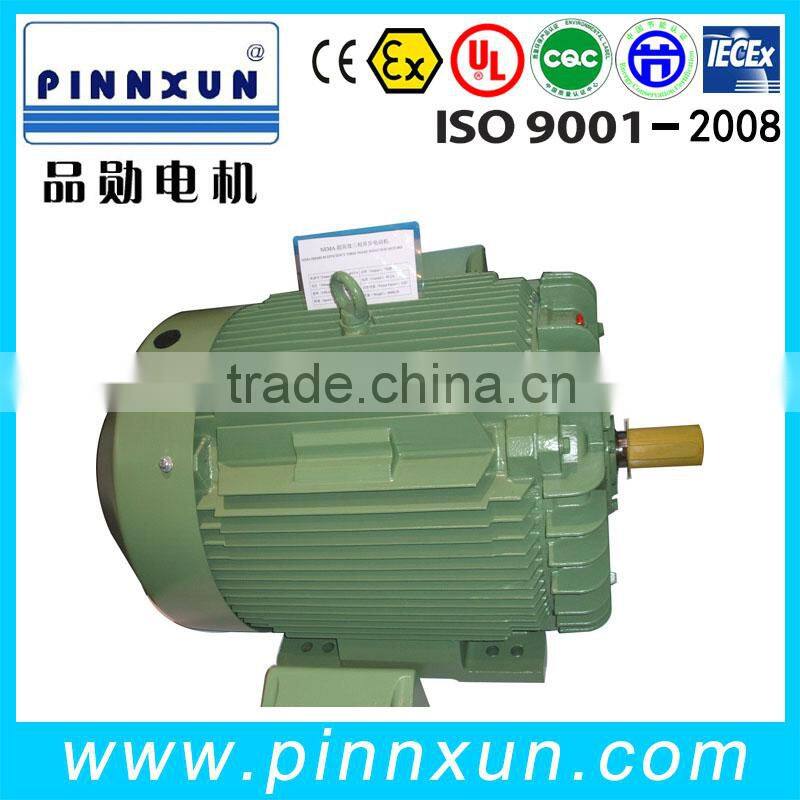 Special low price NEMA electric motor