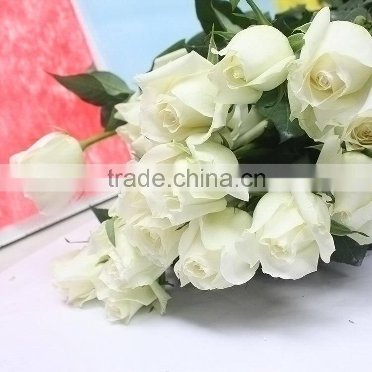 Durable Tineke white rose balls wedding
