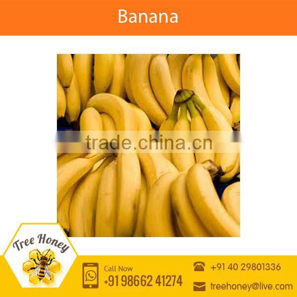 Fresh Yellow Banana for Sale