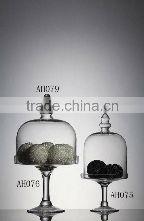 Large Glass Bell Jar With colored Wooden Base