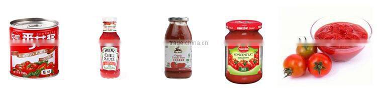 CE approval various solution ketchup packing machine