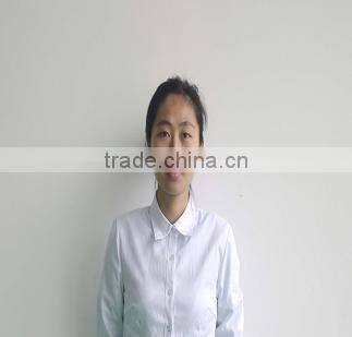 promotion price for 2000W 12V 240V Hybrid Solar Inverter Controller for solar power system