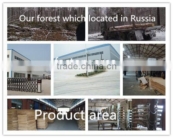 LVL wooden bed slats of layer-glued birch poplar Bed slat