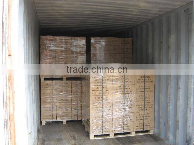 Coil roofing nails/ Roofing nails