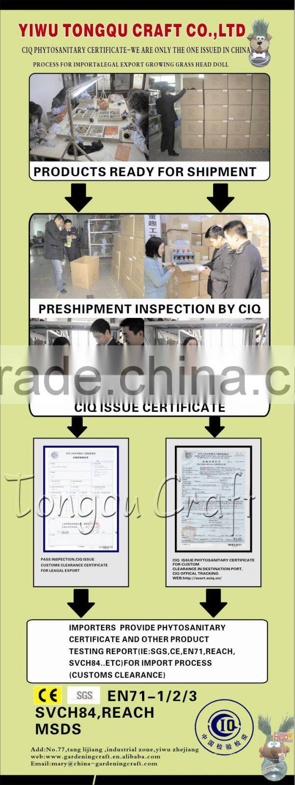 indoor plant growing kit diy mini planter set diy flower garden