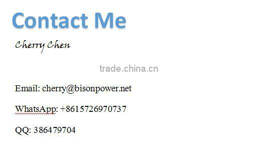 Bison China Taizhou Metal Material Gasoline Engine Pressure Cleaning Machine, Car Washer Machine