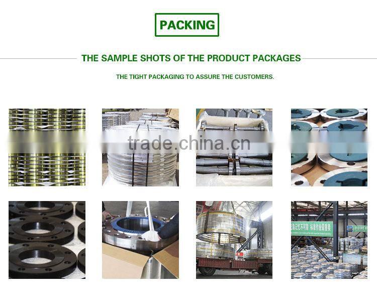 ANSI DIN JIS Bs Stainless Steel Weld Neck Flange