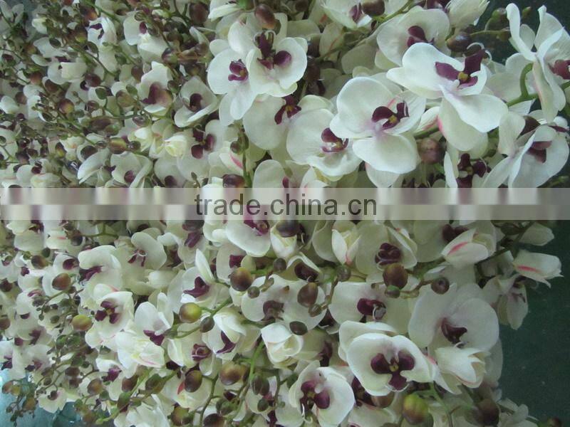 silk orchid 8flower head, 1bud