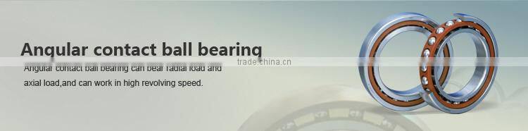 3216,3217,3218,3219 Double Row Angular Contact Ball Bearing