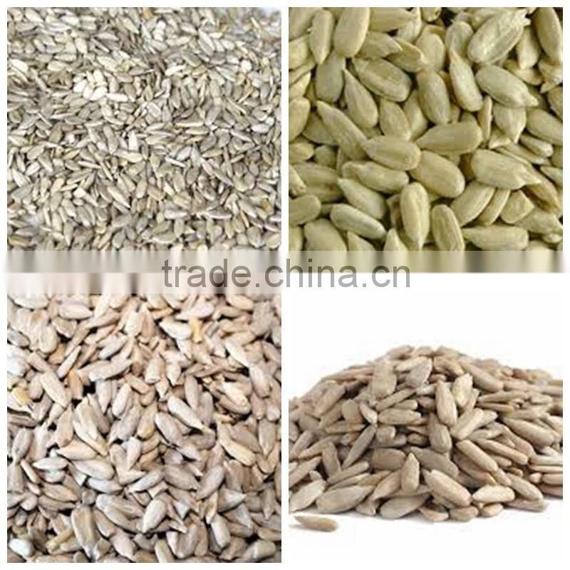 sunflower kernels sunflower seeds kernels