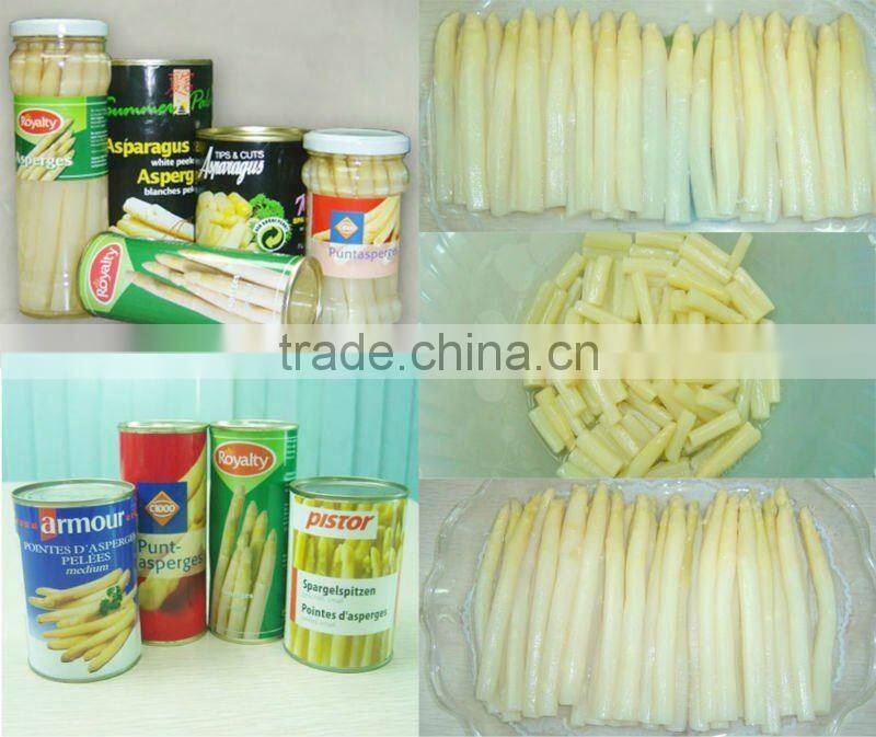 canned white asparagus 800g spear