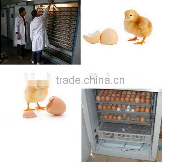 CE approved automatic incubator / egg incubator 48