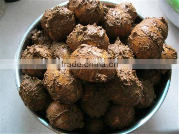 Water recycle fresh egg cleaning machine 0086-15037185761