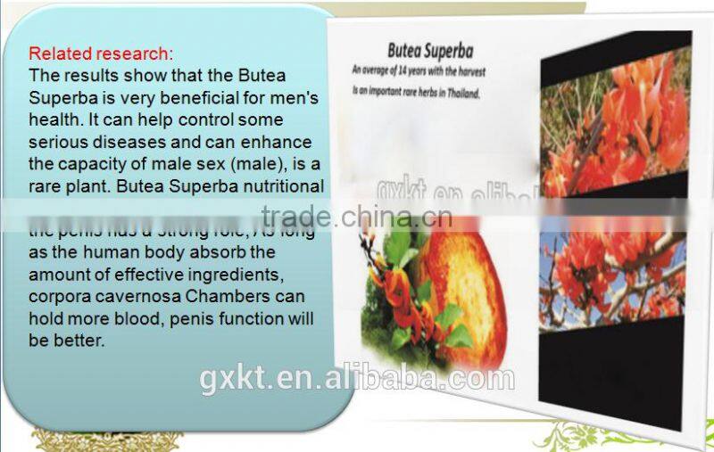 Sex Permanence Herba Butea Superba Herba Extract Powder