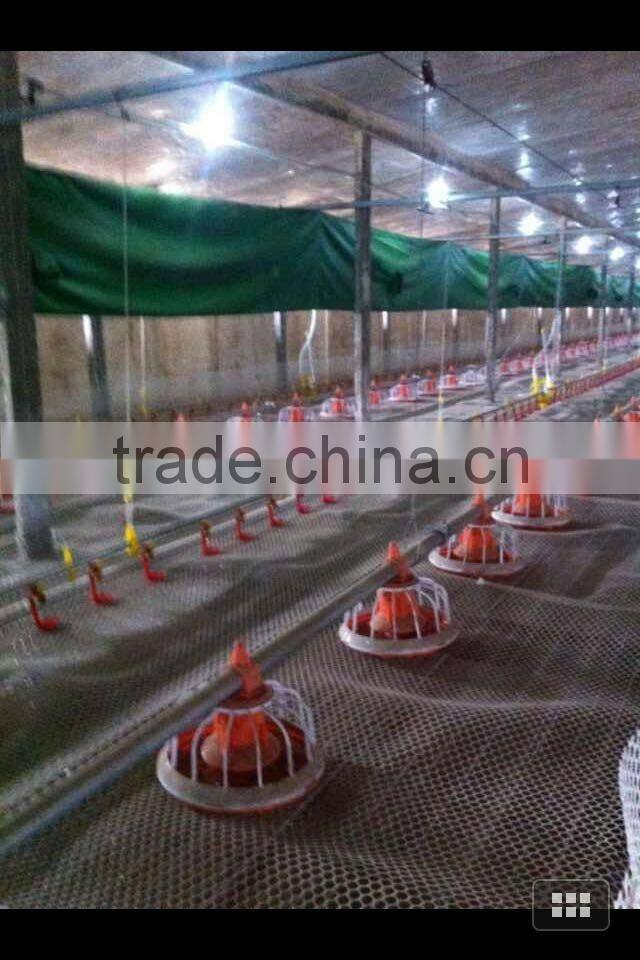 New poultry equipment feeder and drinker