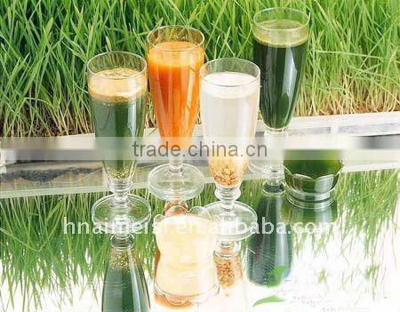 Stainless steel coconut milk extracting machine