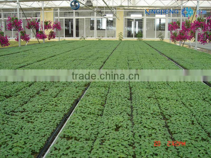 Greenhouse price