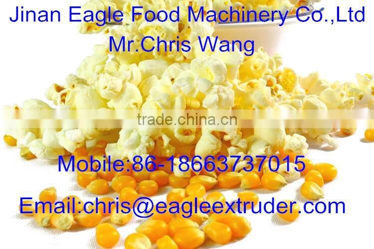Continuous Automatic Popcorn Machine/Production Line
