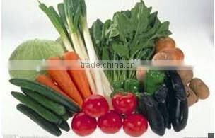 Industrial tray type vegetable mushroom dryer machine